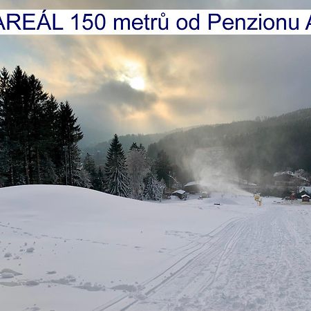 Penzion Alfa Železná Ruda Εξωτερικό φωτογραφία